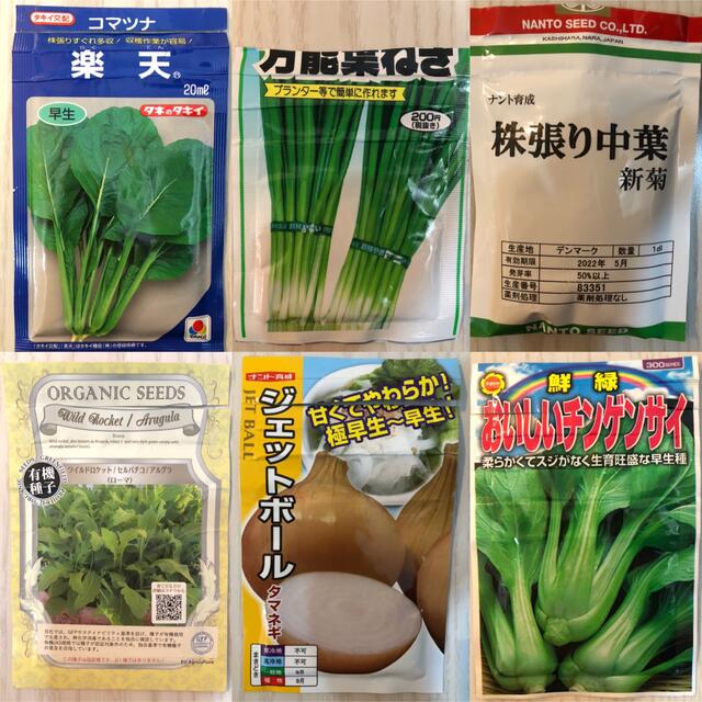 野菜の種　3種セット 食品/飲料/酒の食品(野菜)の商品写真
