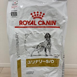 ロイヤルカナン(ROYAL CANIN)のロイヤルカナン ユリナリーs/o 8kg ドライ 犬用(その他)
