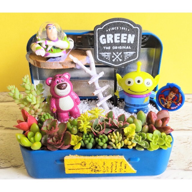 多肉植物の寄せ植え♡工具箱にトイストーリー♡そのまま飾れる♪