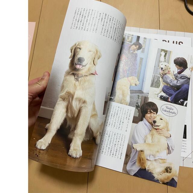 King & Prince(キングアンドプリンス)のペットポップスクエア Pet Pop SQUARE 創刊号 切り抜き エンタメ/ホビーの雑誌(アート/エンタメ/ホビー)の商品写真