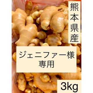 熊本県産　囲い生姜　3kg(野菜)