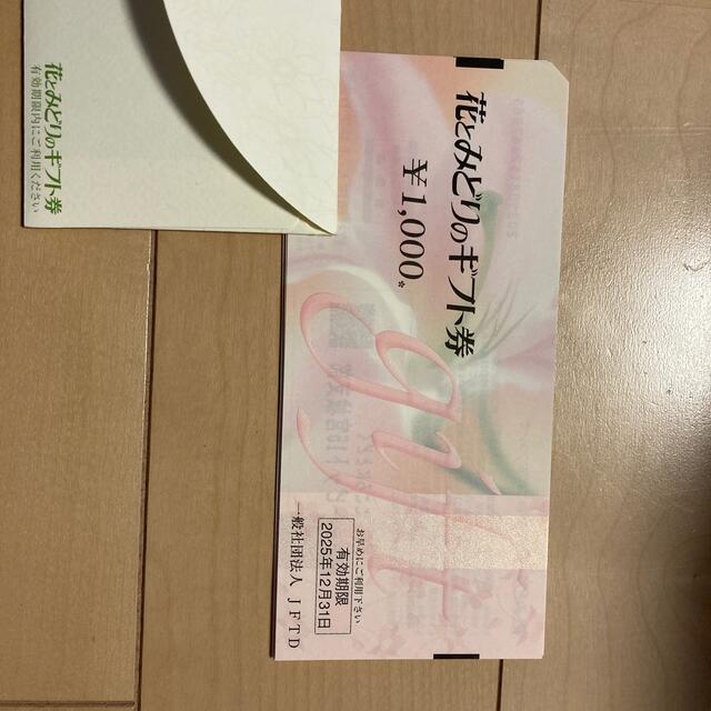 花とみどりのギフト券　1万円分優待券/割引券