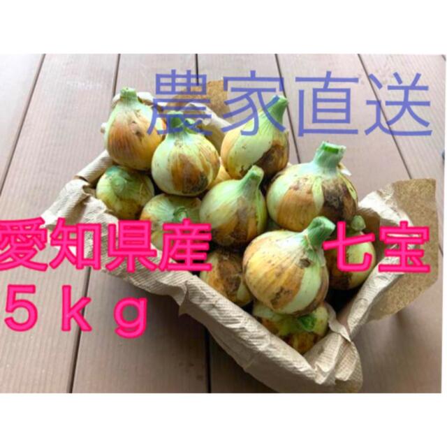 新玉ねぎ 食品/飲料/酒の食品(野菜)の商品写真