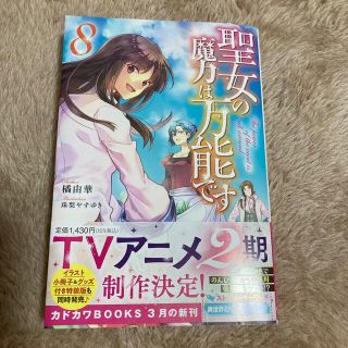 聖女の魔力は万能です ８(文学/小説)