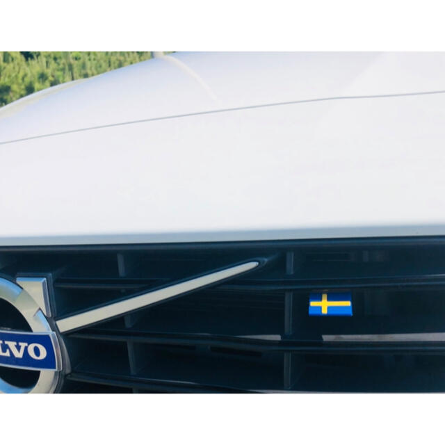 Volvo(ボルボ)の最終値下げ VOLVO ボルボ Saab スウェーデン フラッグ 10枚セット 自動車/バイクの自動車(車外アクセサリ)の商品写真