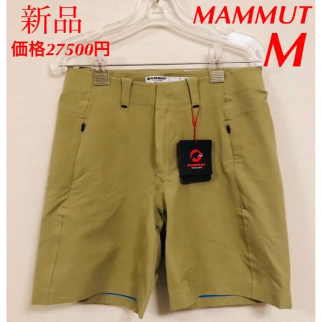 Mammut(マムート)のマムート　3850 ショーツ　ショートパンツ　メンズ　登山　ハイキング メンズのパンツ(ショートパンツ)の商品写真