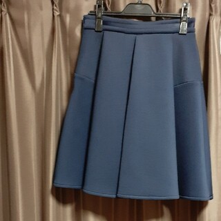 レストローズ(L'EST ROSE)のレストローズの紺のスカート(ひざ丈スカート)