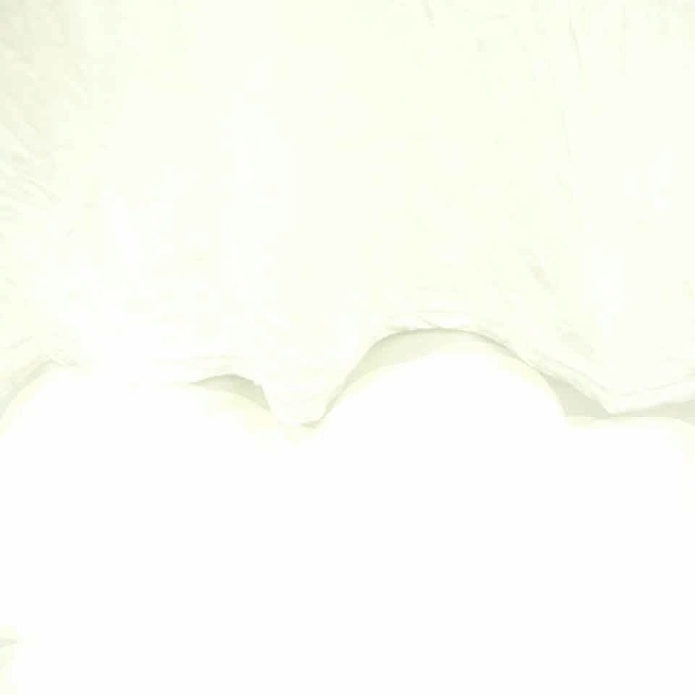 SLADKY(スラドキー)のスラドキー Sladky カットソー Tシャツ ボートネック 無地 シンプル ビ エンタメ/ホビーのコスプレ(その他)の商品写真