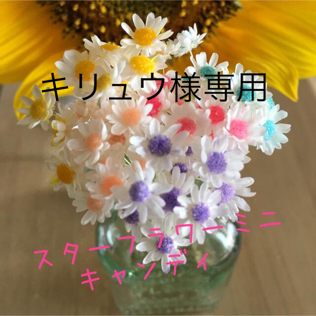 茎付き花材