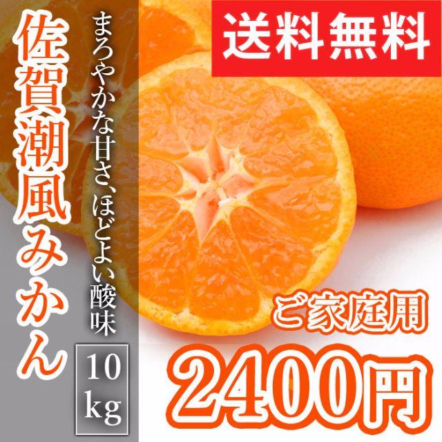 美味い♥リピ多数♥10kg佐賀産みかん『たくま君達の潮風温州みかん』 食品/飲料/酒の食品(フルーツ)の商品写真