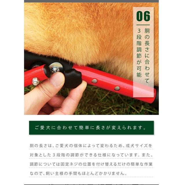 ドッグウォーカー　中型犬用　試乗のみ 4