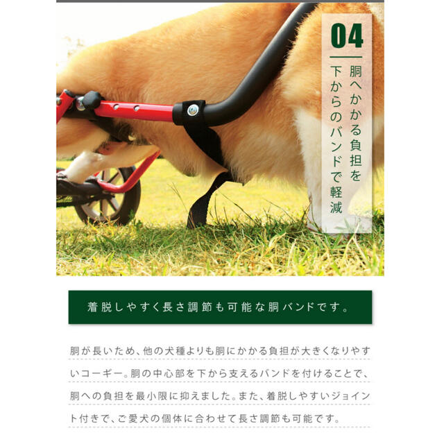 ドッグウォーカー　中型犬用　試乗のみ 7