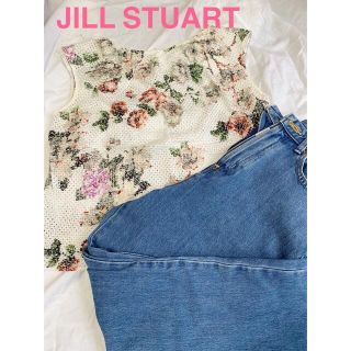 ジルスチュアート(JILLSTUART)のJILL STUART ボタニカル柄　トップス　サイズS(シャツ/ブラウス(半袖/袖なし))