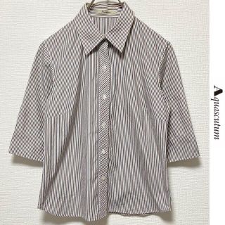 アクアスキュータム(AQUA SCUTUM)のAquascutum　ストライプシャツ　アクアスキュータム　ブラウス　七分袖(シャツ/ブラウス(長袖/七分))