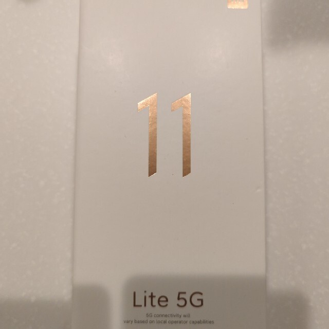 Xiaomi Mi 11 Lite 5G-Truffle Black 1