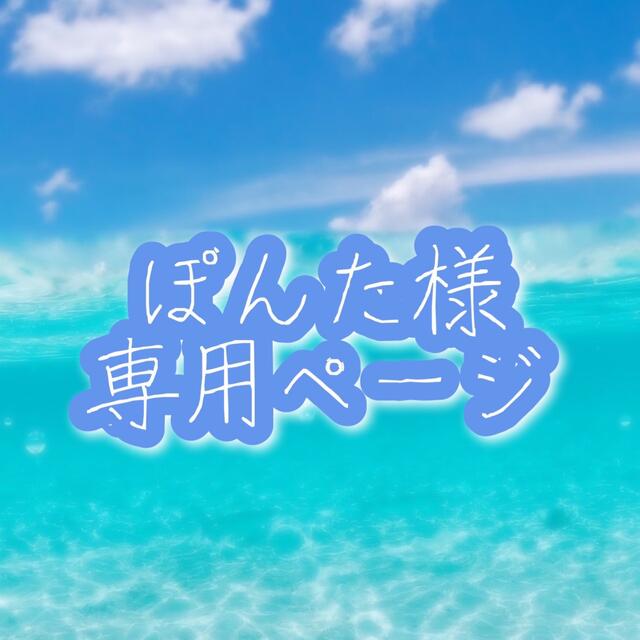 ぽんた様専用ページですの通販 by aya|ラクマ