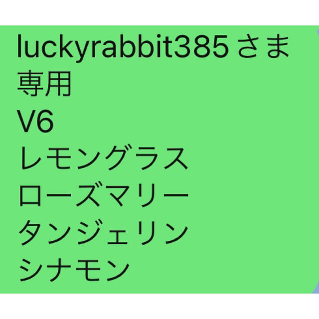 luckyrabbit385さま 専用 お品一式