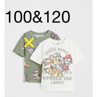 エイチアンドエム(H&M)の専用です　パウパトロール　Tシャツ　2枚セット　100/105&120/130(Tシャツ/カットソー)