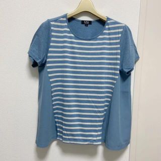 シマムラ(しまむら)のライトブルー　ボーダー×シフォン　Tシャツ(Tシャツ(半袖/袖なし))