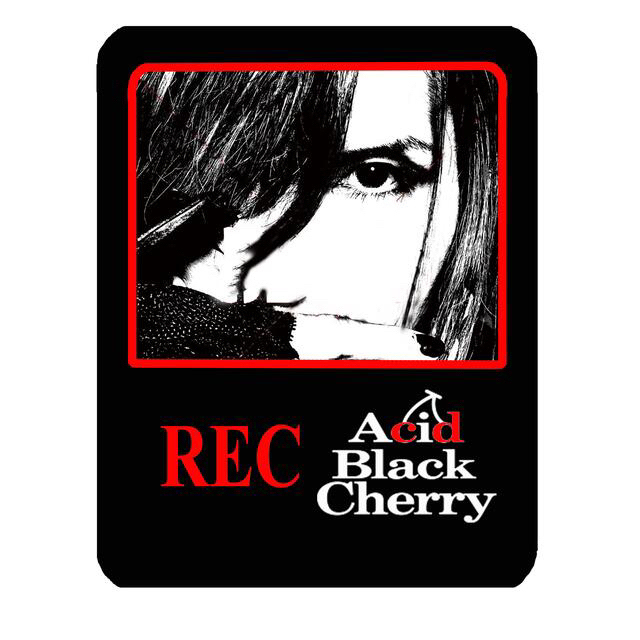 純様専用 Acid Black Cherry ステッカーの通販 by サイコ's shop｜ラクマ