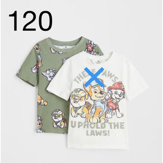 エイチアンドエム(H&M)の《最新作》新品　パウパトロール　Tシャツ　120/130(Tシャツ/カットソー)