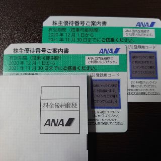 エーエヌエー(ゼンニッポンクウユ)(ANA(全日本空輸))のANA 株主優待券✕2枚　期限延長済(その他)