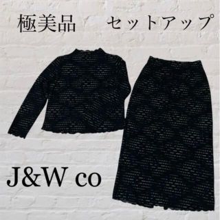 レオナール(LEONARD)のJ＆W Co. 極美品 セットアップ レディース 古着(スーツ)