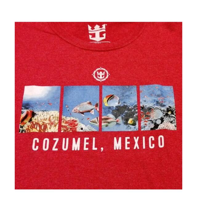 【新品未使用】 コスメルメキシコ　レディースTシャツ レディースのトップス(Tシャツ(半袖/袖なし))の商品写真