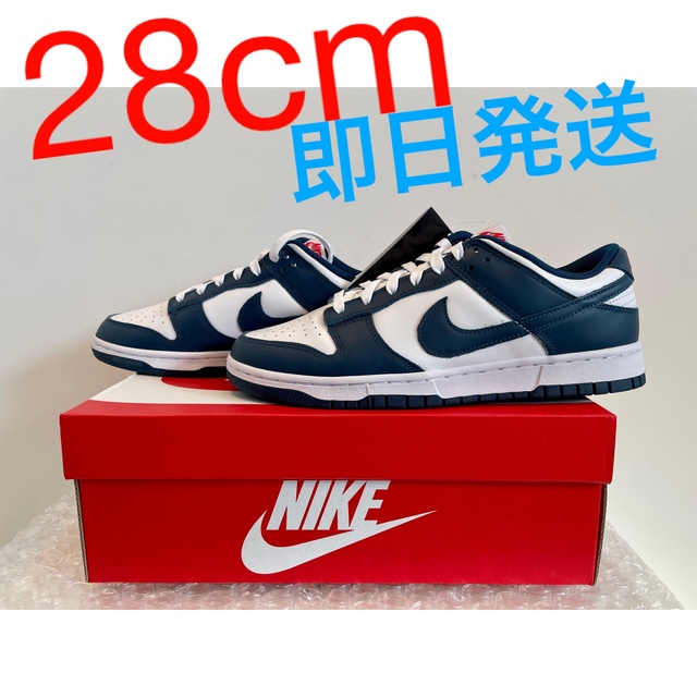 メンズNike Dunk Low "Valerian Blue" 28cm