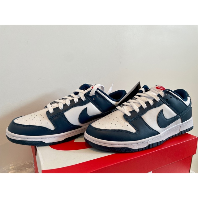 Nike Dunk Low "Valerian Blue" 28cm