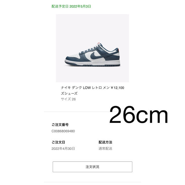 ダンクLOW Valerian Blue / dunk low / NIKE