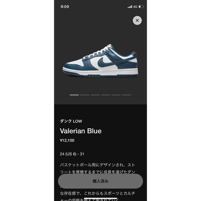 nikeダンク ロー valerian blue 27cm