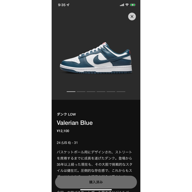 Nike Dunk Low Valerian Blue 27cm