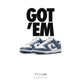 ナイキ(NIKE)のNIKE DUNK Valerian Blue(スニーカー)