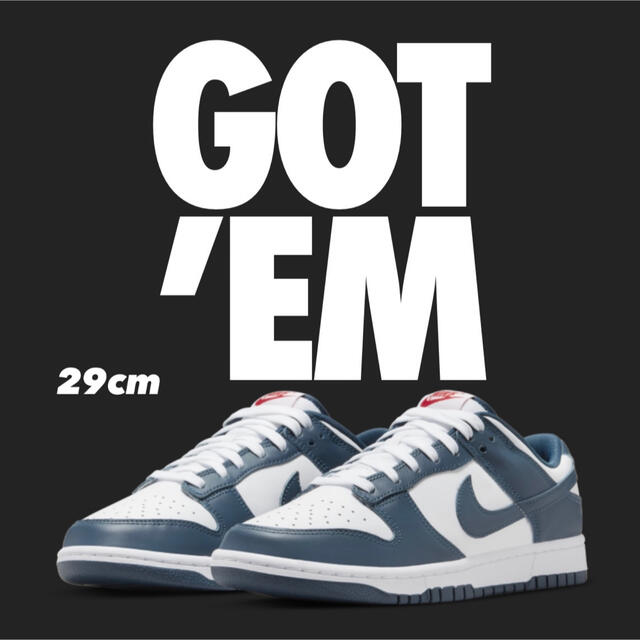 【新品タグ付:29cm】NIKE DUNK LOW RETRO "USA"