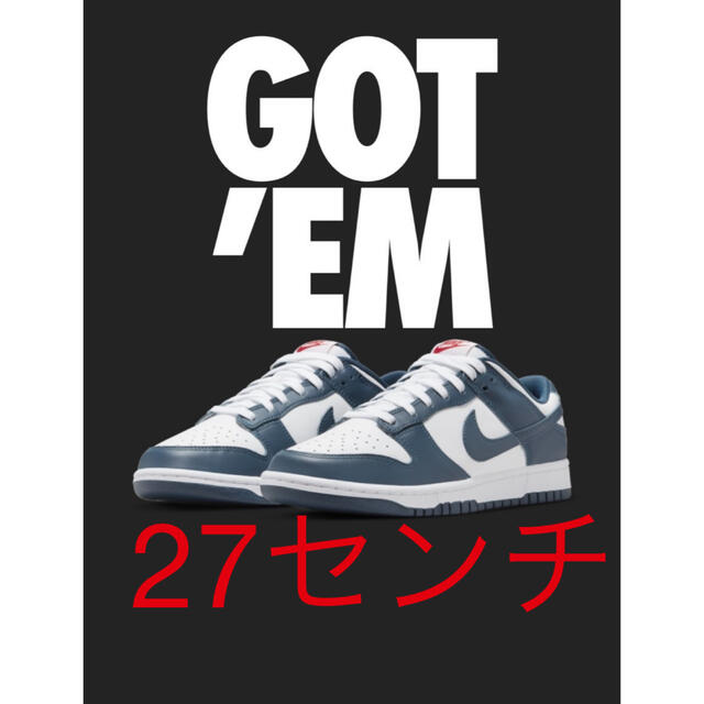 Nike Dunk Low "Valerian Blue"ダンクロー