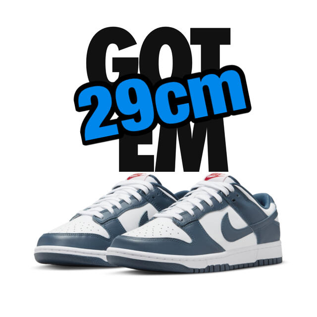 Nike Dunk Low Valerian Blue 29cm