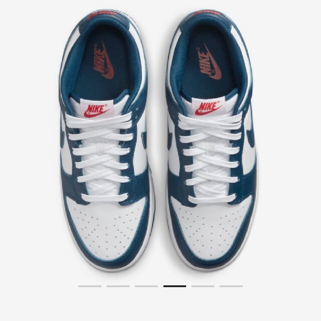 NIKE DUNK LOW VALERIAN BLUE　スニーカー