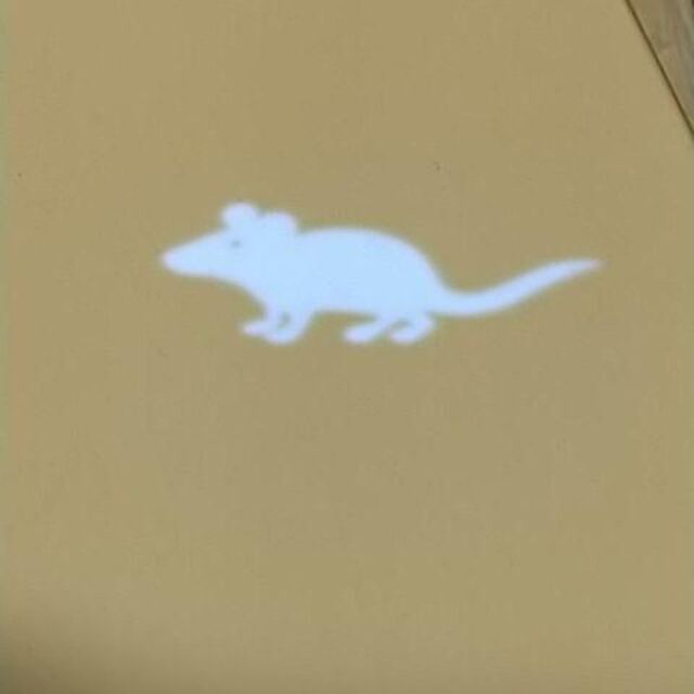  猫のおもちゃ（シルバー）ＬＥＤライト／ねこじゃらし/猫じゃらし その他のペット用品(猫)の商品写真