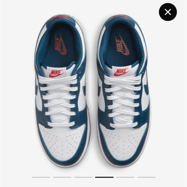 NIKE(ナイキ)のNike Dunk Low Valerian Blue 28cm メンズの靴/シューズ(スニーカー)の商品写真