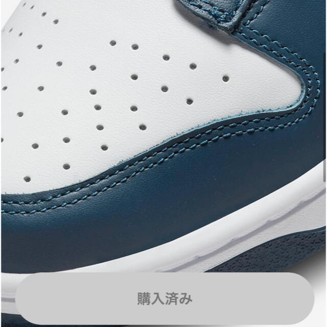 NIKE(ナイキ)のNike Dunk Low Valerian Blue 28cm メンズの靴/シューズ(スニーカー)の商品写真