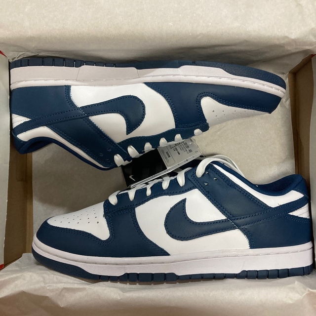 NIKE(ナイキ)のNike Dunk Low Valerian Blue 28cm メンズの靴/シューズ(スニーカー)の商品写真