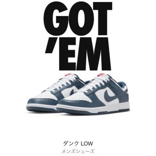 ナイキ(NIKE)のNike Dunk Low Valerian Blue 28cm(スニーカー)