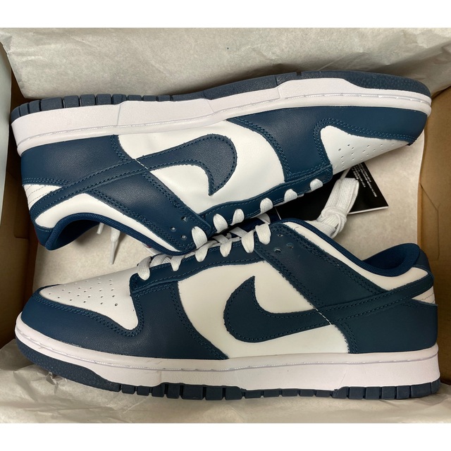 Nike Dunk Low Valerian Blue 28cm