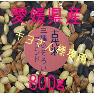 キヨさん様専用　古代米3種ふぞろいブレンド　愛媛県産　800ｇ(米/穀物)