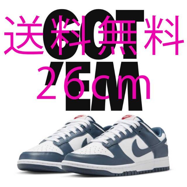 Nike Dunk Low Valerian Blue 26cm