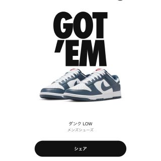 【新品未使用】NIKE dunk low Valerian Blue 28.5(スニーカー)