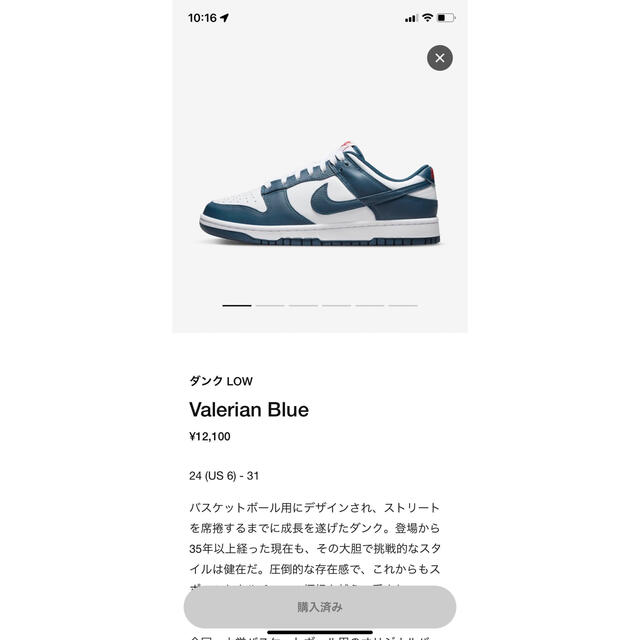 Nike Dunk Low Valerian Blue ナイキ ダンク ロー