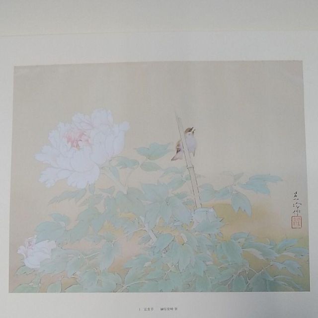 近代日本画名作選 足立美術館所蔵 京都書院 | tradexautomotive.com