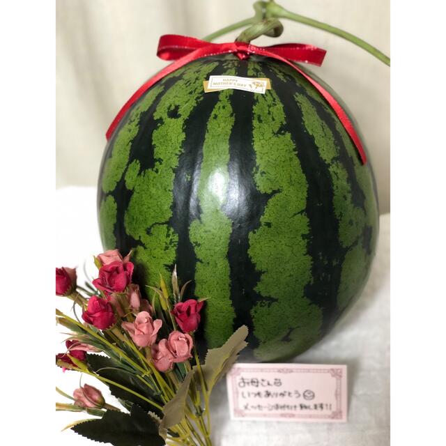 農家直送！！熊本植木スイカ　　春だんらん 食品/飲料/酒の食品(フルーツ)の商品写真